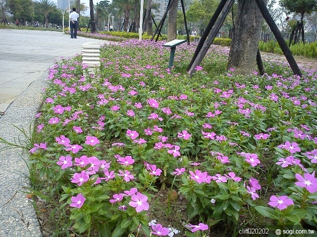 本文章相關圖片