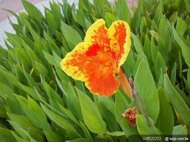 本文章相關圖片