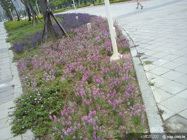 本文章相關圖片