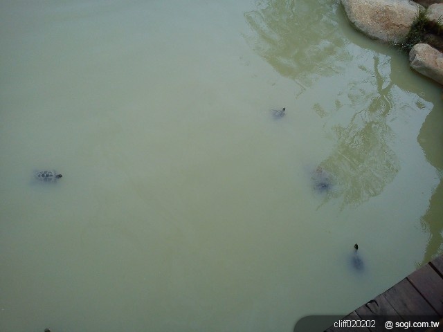 本文章相關圖片