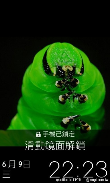 本文章相關圖片