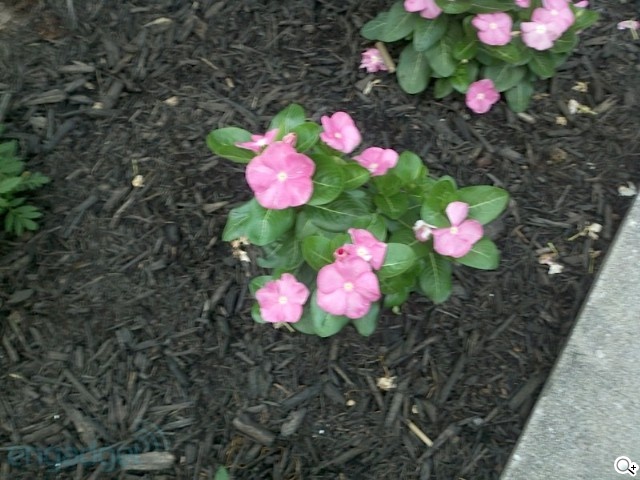 MOTO Droid X 強大規格 力拚 iPhone4 MOTO Droid X 強大規格 力拚 iPhone4