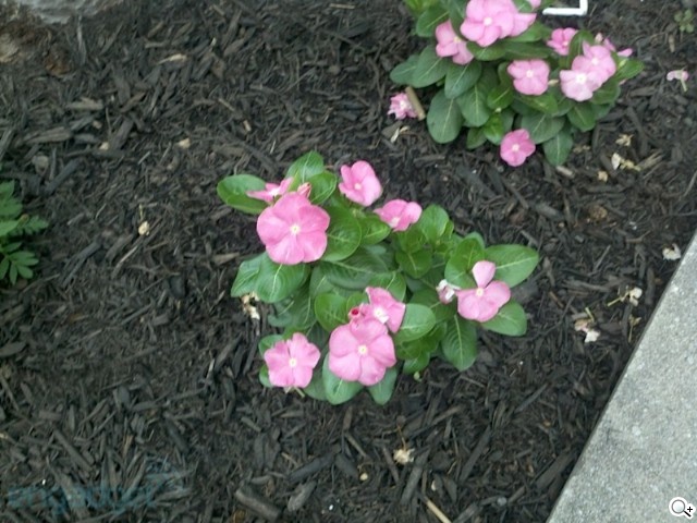 MOTO Droid X 強大規格 力拚 iPhone4 MOTO Droid X 強大規格 力拚 iPhone4