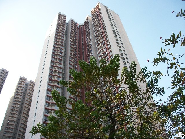 千萬畫素PK NOKIA N8略勝一籌? 千萬畫素PK NOKIA N8略勝一籌?