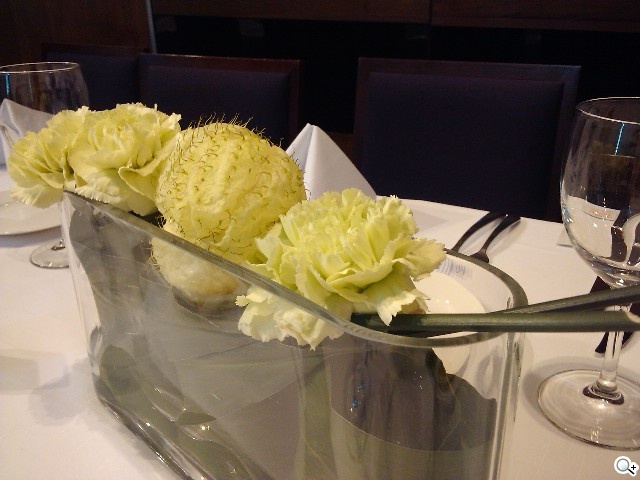 MOTO MB501、XT3、EX300 平價登場 MOTO MB501、XT3、EX300 平價登場