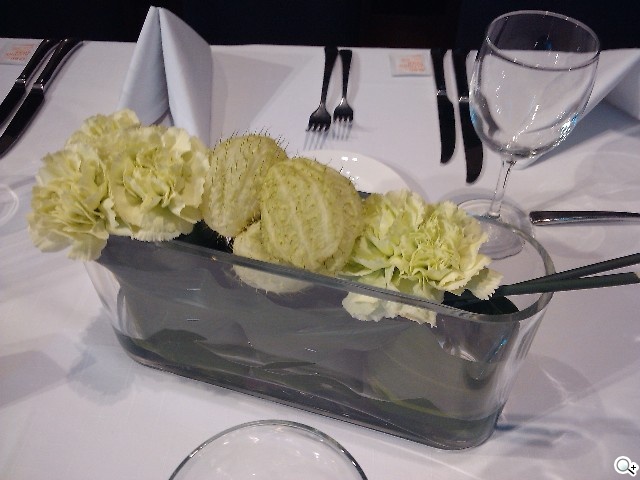 MOTO MB501、XT3、EX300 平價登場 MOTO MB501、XT3、EX300 平價登場