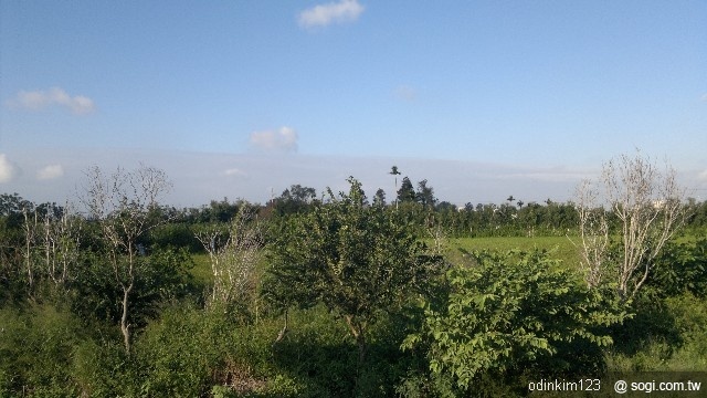 太幸運了n8入手 太幸運了n8入手