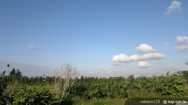 太幸運了n8入手 太幸運了n8入手