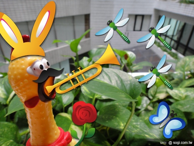 熟雞王 Nokia C7 一日菜鳥日記 熟雞王 Nokia C7 一日菜鳥日記