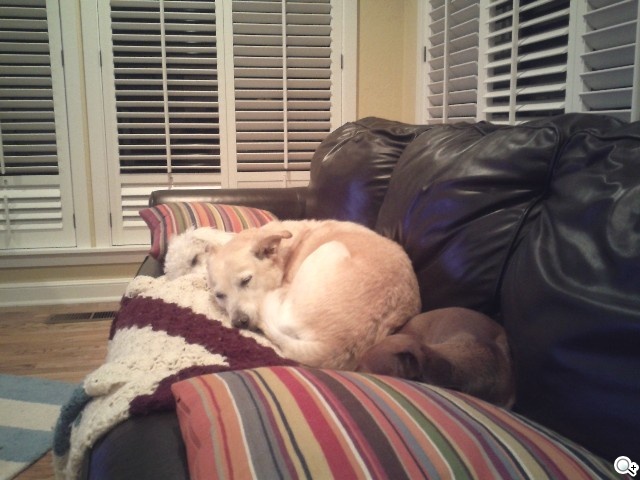 三星i9020 Nexus S 實拍照曝光 三星i9020 Nexus S 實拍照曝光