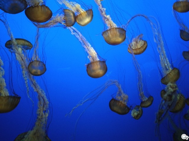 三星i9020 Nexus S 實拍照曝光 三星i9020 Nexus S 實拍照曝光