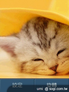 三星S3370 Hello Kitty 攻占少女心 三星S3370 Hello Kitty 攻占少女心