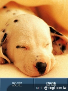 三星S3370 Hello Kitty 攻占少女心 三星S3370 Hello Kitty 攻占少女心