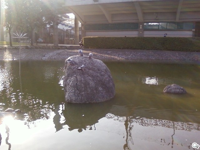 三星S3370 Hello Kitty 攻占少女心 三星S3370 Hello Kitty 攻占少女心