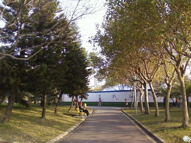 三星S3370 Hello Kitty 攻占少女心 三星S3370 Hello Kitty 攻占少女心