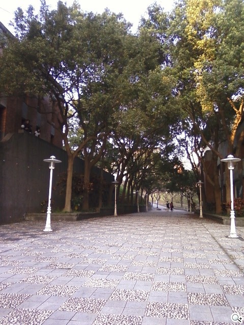 三星S3370 Hello Kitty 攻占少女心 三星S3370 Hello Kitty 攻占少女心