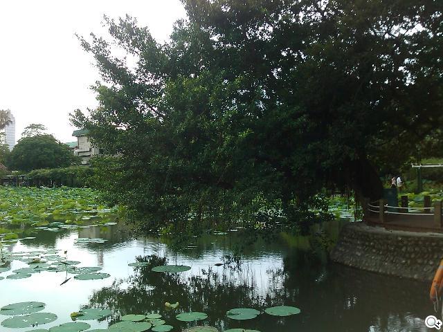 HUAWEI IDEOS X3開啟粉領新視界 HUAWEI IDEOS X3開啟粉領新視界