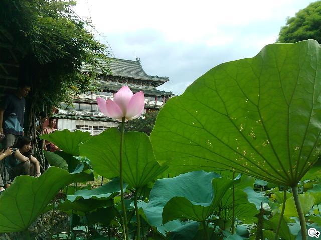 HUAWEI IDEOS X3開啟粉領新視界 HUAWEI IDEOS X3開啟粉領新視界