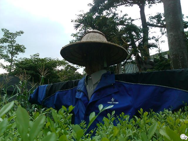 HUAWEI IDEOS X3開啟粉領新視界 HUAWEI IDEOS X3開啟粉領新視界