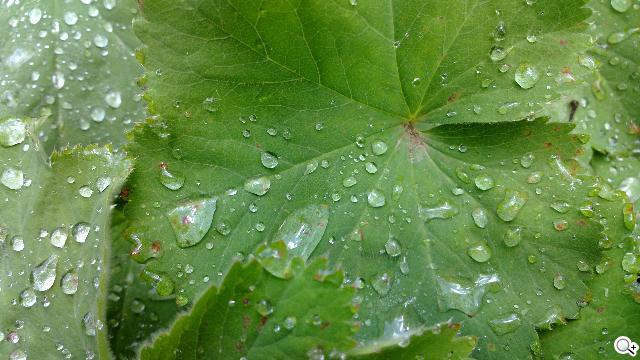 NOKIA N9 實拍照展現驚人攝影實力 NOKIA N9 實拍照展現驚人攝影實力