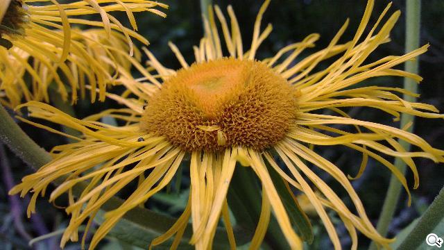 NOKIA N9 實拍照展現驚人攝影實力 NOKIA N9 實拍照展現驚人攝影實力