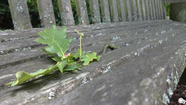 NOKIA N9 實拍照展現驚人攝影實力 NOKIA N9 實拍照展現驚人攝影實力