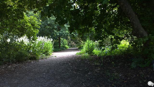 NOKIA N9 實拍照展現驚人攝影實力 NOKIA N9 實拍照展現驚人攝影實力