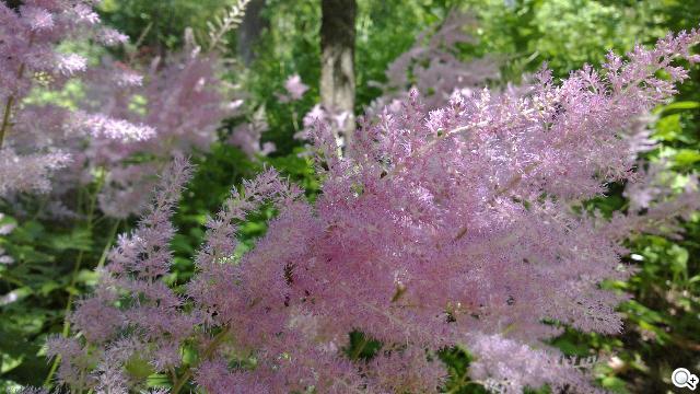 NOKIA N9 實拍照展現驚人攝影實力 NOKIA N9 實拍照展現驚人攝影實力