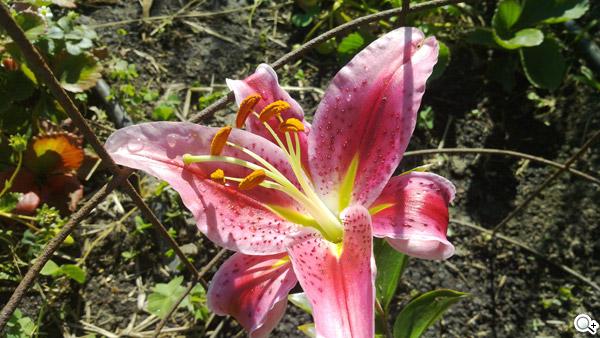 最新NOKIA N9原始實拍畫面公布 最新NOKIA N9原始實拍畫面公布