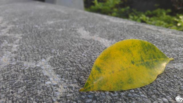 激鬥！感動機 VS GALAXY SII i9100 攝錄篇