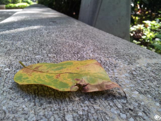 激鬥！感動機 VS GALAXY SII i9100 攝錄篇