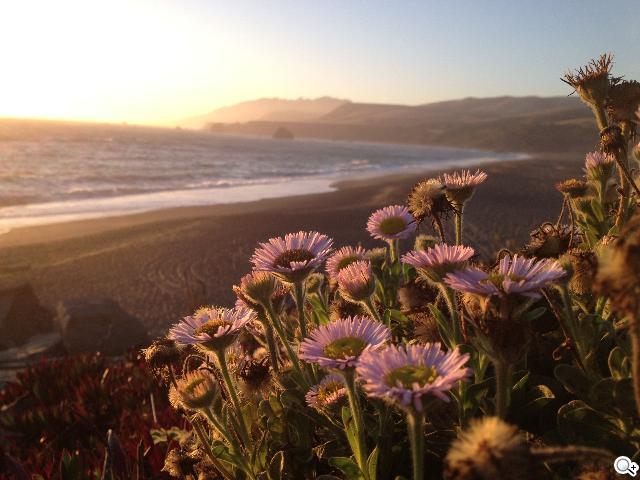 iPhone 4S新機發表！外觀不變 功能更強