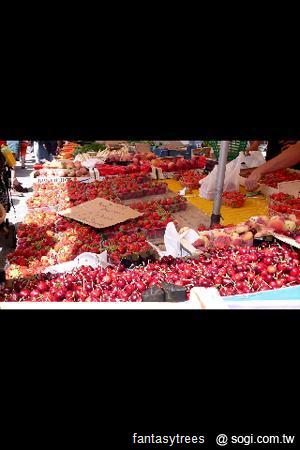 SE XPERIA mini推彩殼、Android 2.3.4更新 SE XPERIA mini推彩殼、Android 2.3.4更新