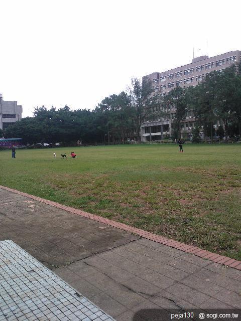 【分享】Nokia Lumia 800 與我的一天