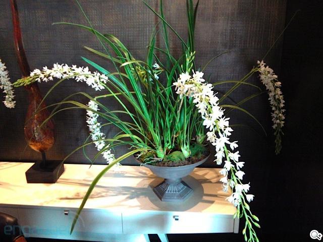 HTC TITAN II發表 相機升級1600萬畫素【CES 2012】 HTC TITAN II發表 相機升級1600萬畫素【CES 2012】