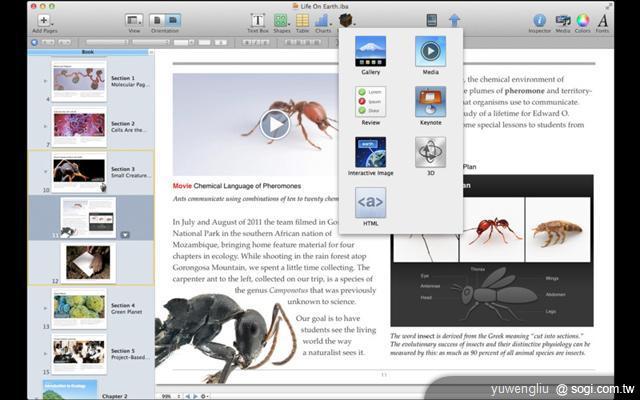蘋果劍指教育市場 推iBooks 2、iBook Author、iTunes U 蘋果劍指教育市場 推iBooks 2、iBook Author、iTunes U