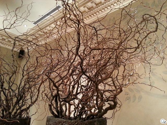 三星GALAXY S III內在剖析 效能、相機大躍進 三星GALAXY S III內在剖析 效能、相機大躍進