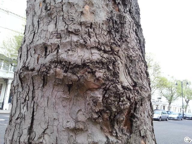 三星GALAXY S III內在剖析 效能、相機大躍進 三星GALAXY S III內在剖析 效能、相機大躍進