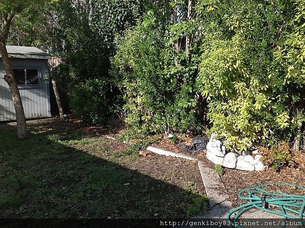 [非開箱]The New iPad & iPad2比較、評測及拍照測試