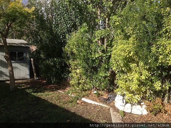 [非開箱]The New iPad & iPad2比較、評測及拍照測試